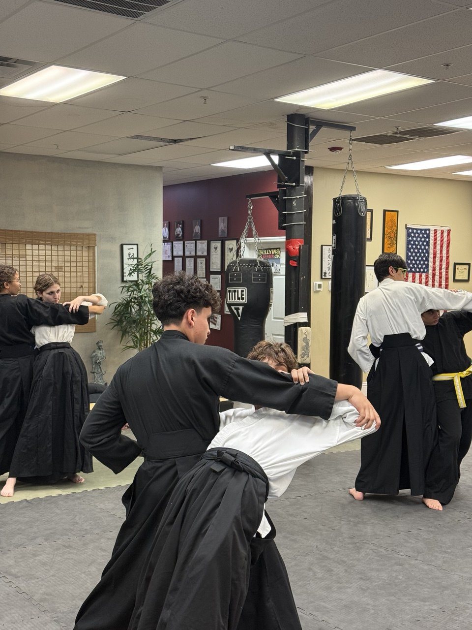 Sensei Nardoni — training stance